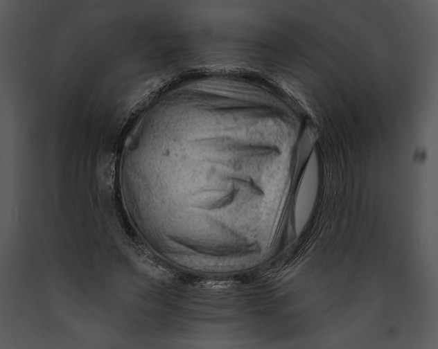 X0000089660495200707191652
