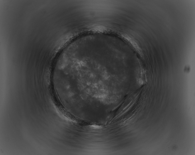 X0000089660496200707191652