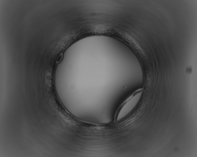 X0000089660497200707191652