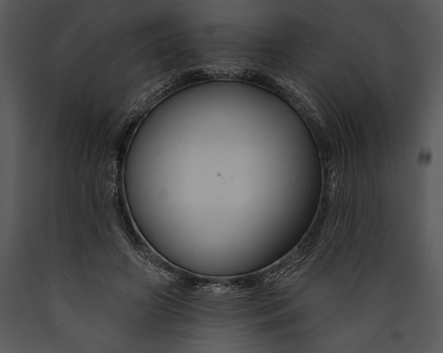 X0000089660498200707191652