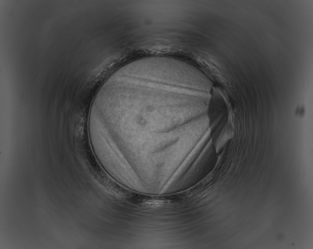 X0000089660499200707191652