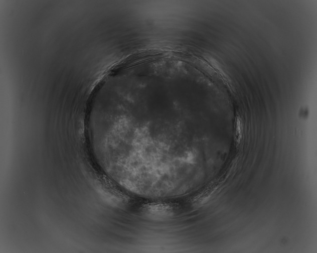 X0000089660500200707191652