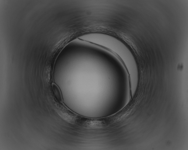 X0000089660501200707191652