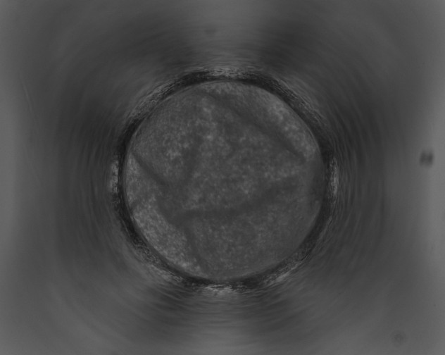 X0000089660502200707191652