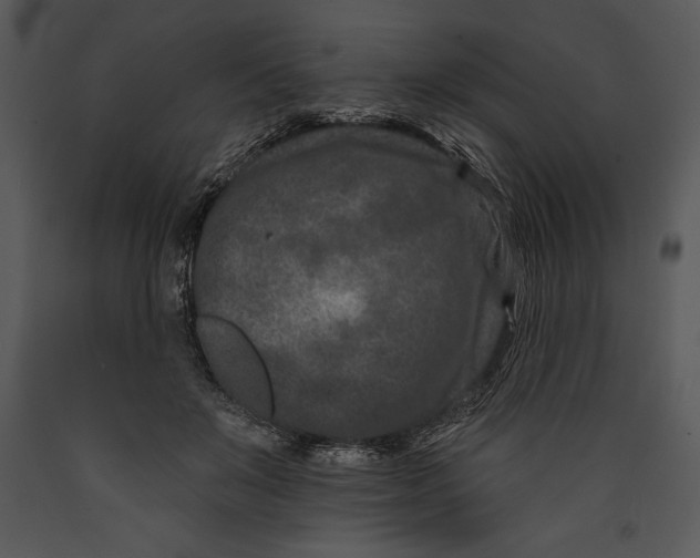 X0000089660503200707191652