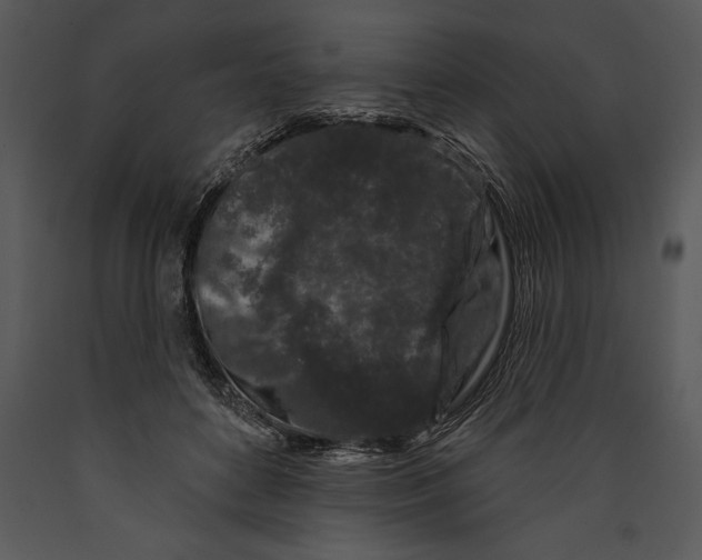 X0000089660504200707191652