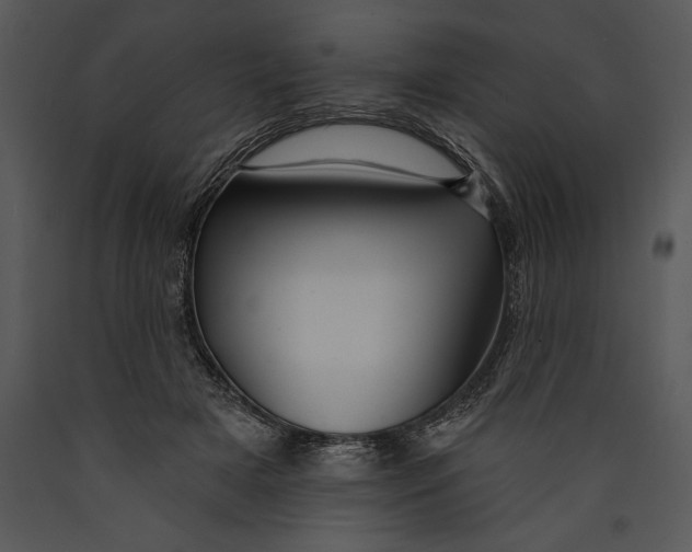 X0000089660505200707191652