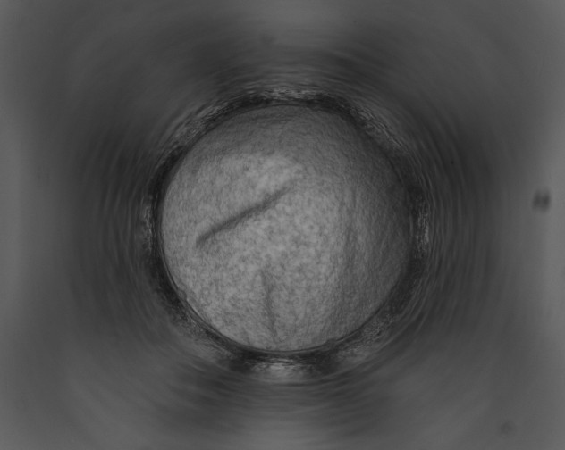 X0000089660506200707191652