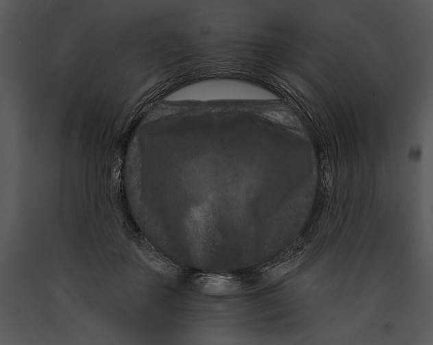X0000089660507200707191652