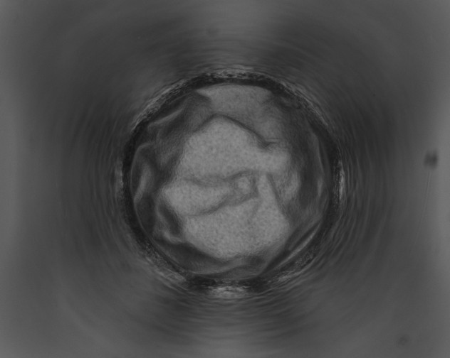 X0000089660508200707191652
