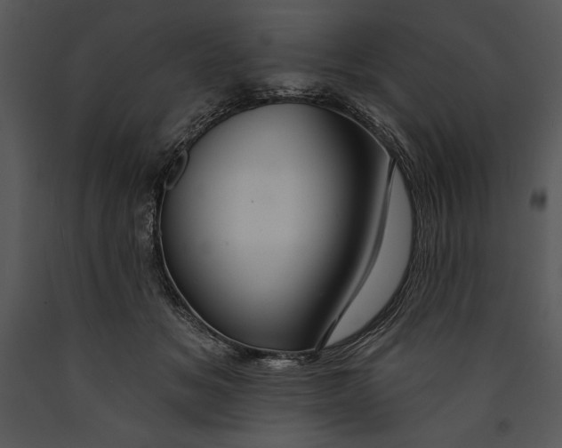 X0000089660509200707191652