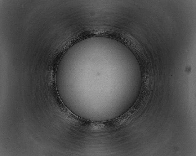 X0000089660510200707191652