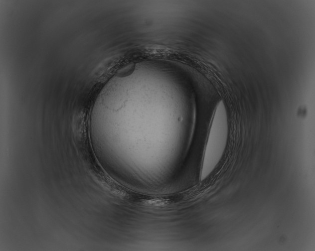 X0000089660511200707191652