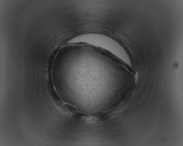 X0000089660512200707191652