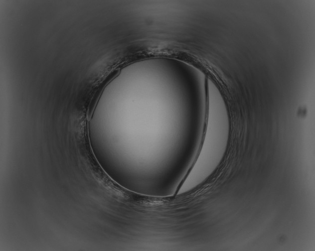 X0000089660513200707191652