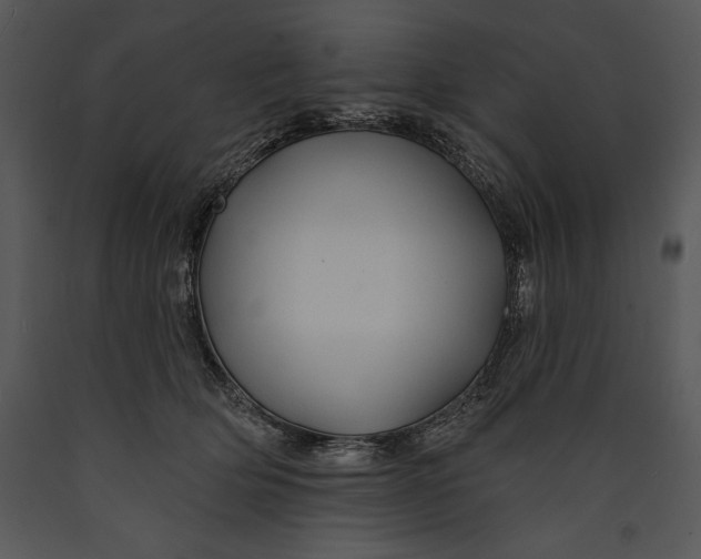 X0000089660514200707191652
