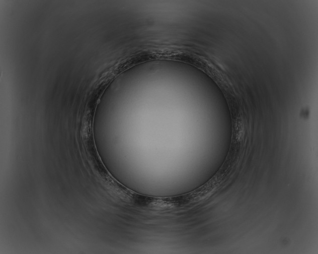X0000089660515200707191652