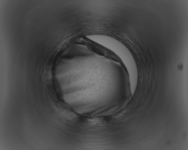 X0000089660516200707191651