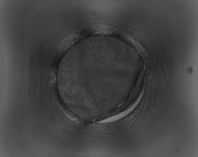 X0000089660517200707191651