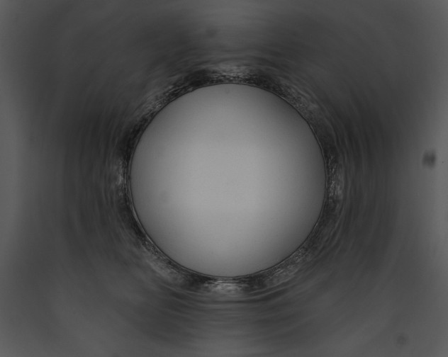 X0000089660518200707191651