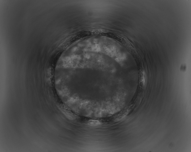 X0000089660519200707191651