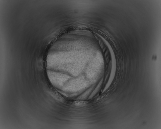 X0000089660520200707191651