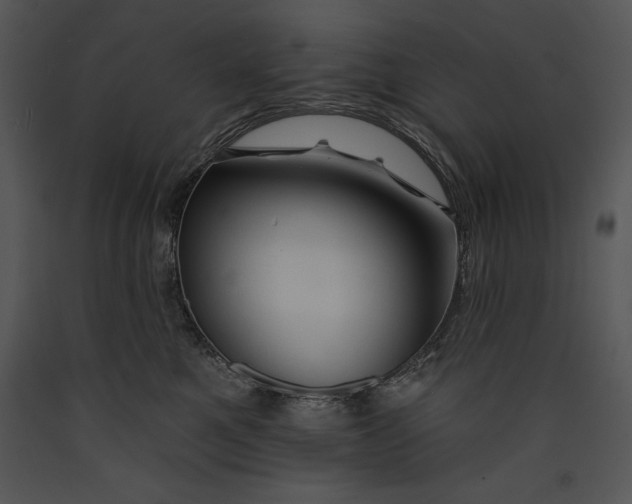 X0000089660521200707191651