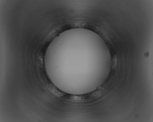 X0000089660522200707191651