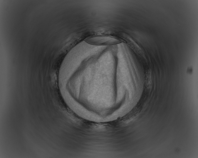 X0000089660523200707191651