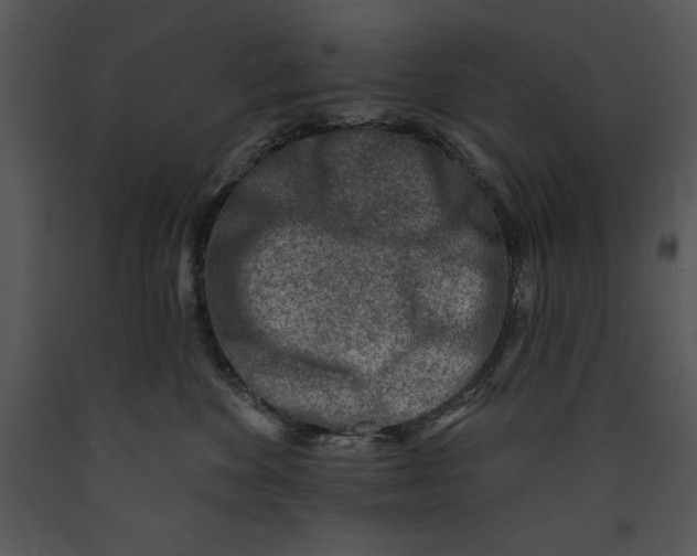 X0000089660524200707191651
