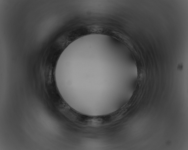 X0000089660525200707191651