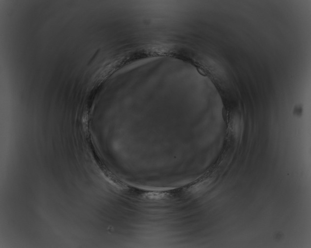 X0000089660526200707191651