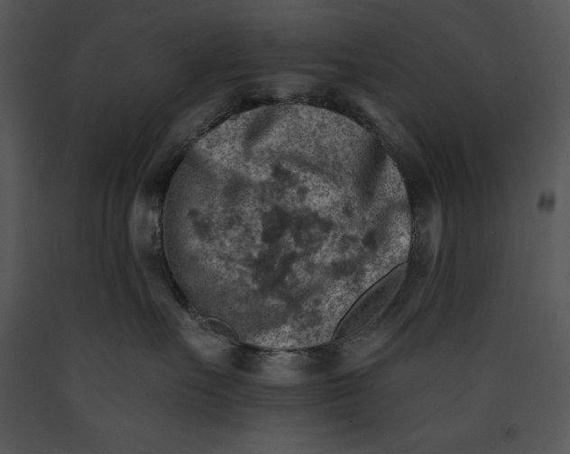 X0000089660527200707191651