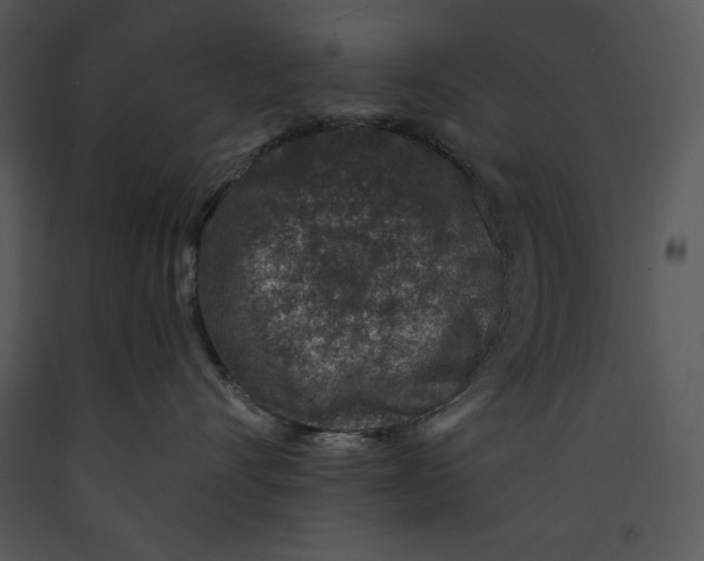 X0000089660528200707191651