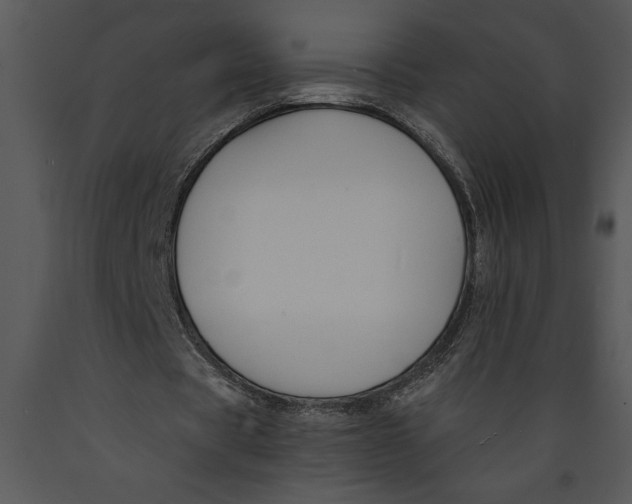X0000089660529200707191650