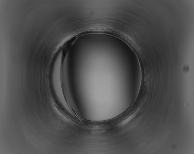 X0000089660530200707191650