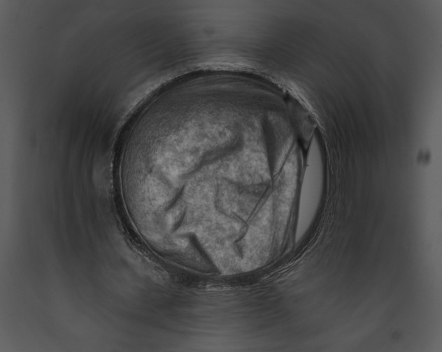 X0000089660531200707191651