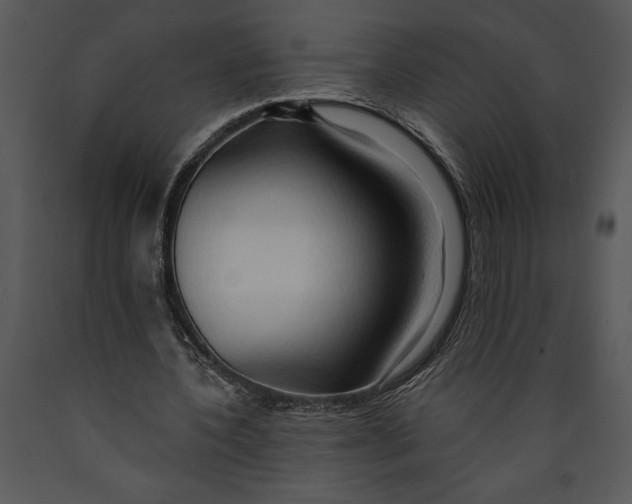 X0000089660532200707191651