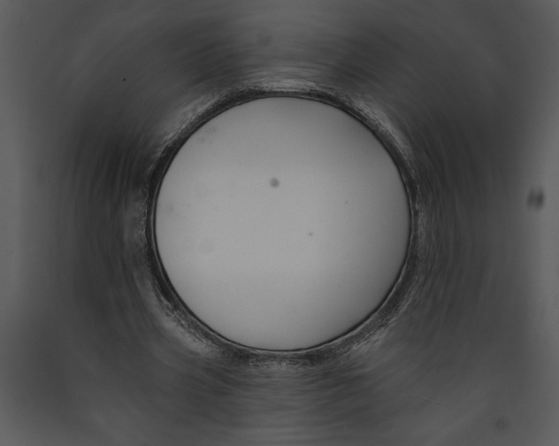 X0000089660533200707191651