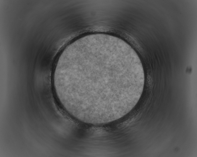X0000089660534200707191651