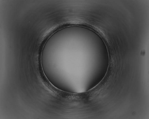 X0000089660535200707191651