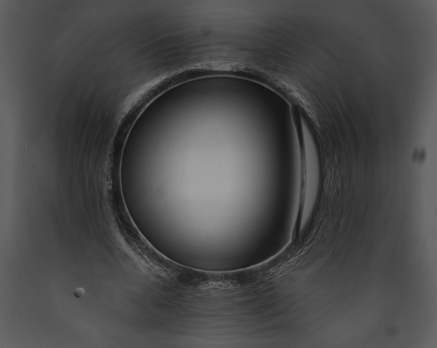 X0000089660536200707191651