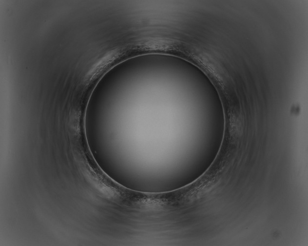 X0000089660537200707191651