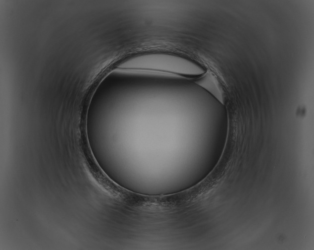 X0000089660538200707191651