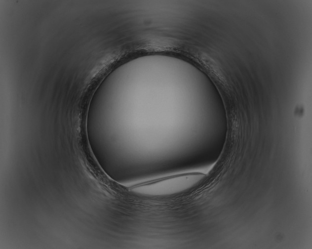 X0000089660539200707191651