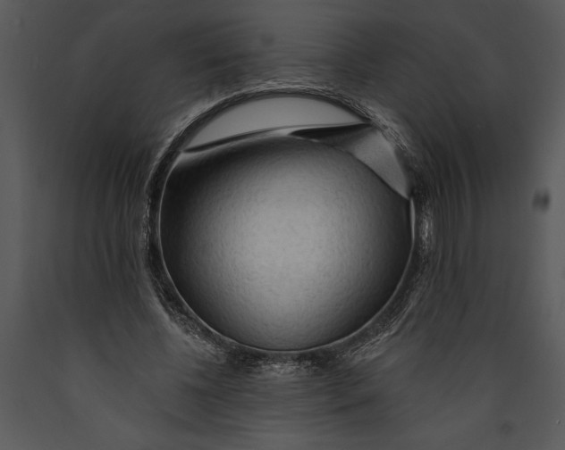 X0000089660540200707191651