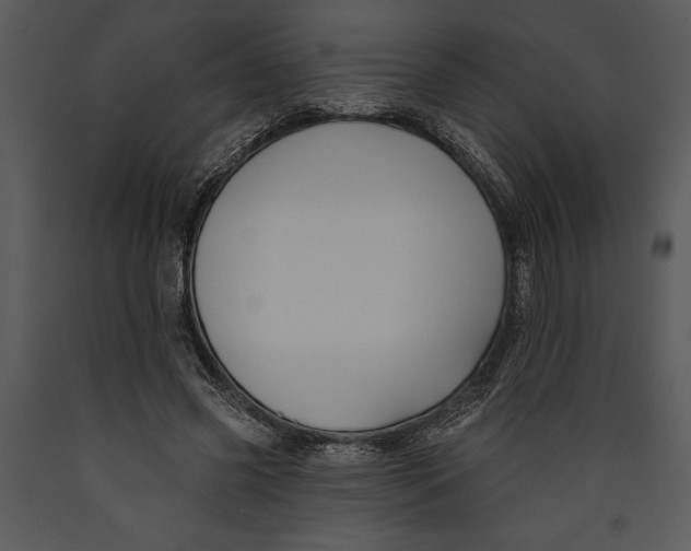X0000089660541200707191651