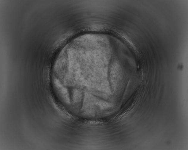 X0000089660542200707191651