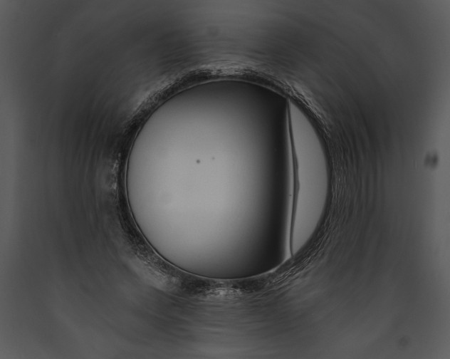 X0000089660543200707191651