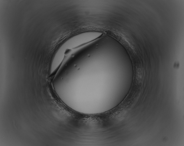 X0000089660545200707191651